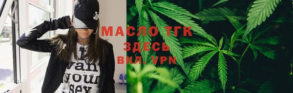 мет Алексин