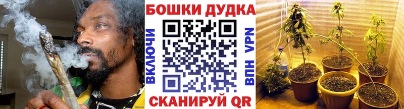 Конопля конопля  Ладушкин 